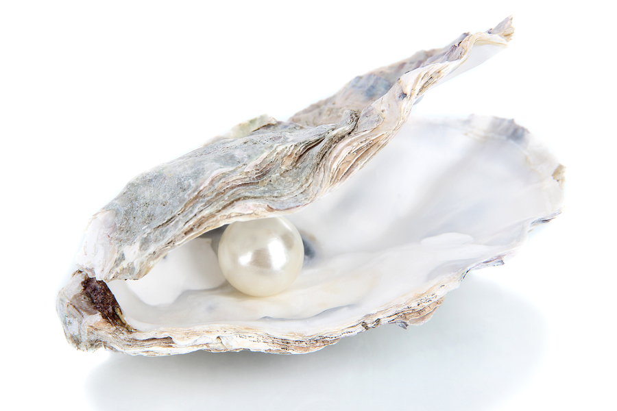 bigstock-Open-oyster-with-pearl-isolate-49988198