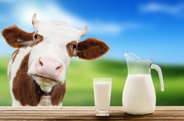 Il latte biologico